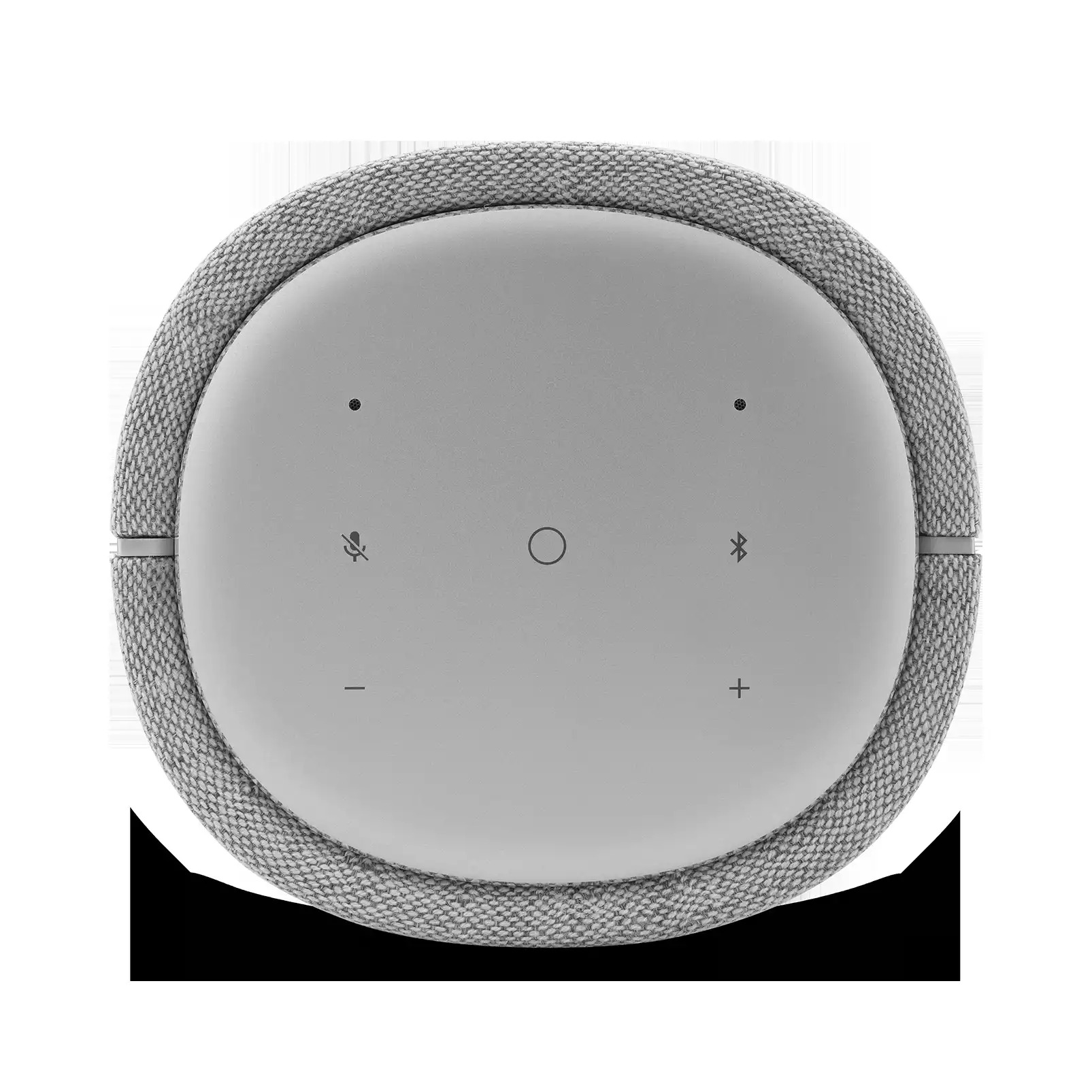 HARMAN KARDON Citation 100 MKII siv zvočnik