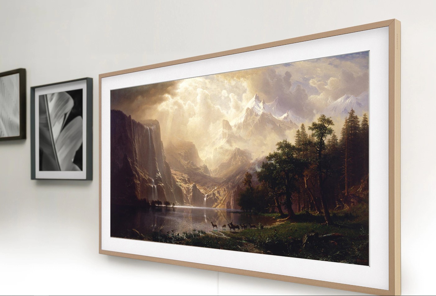 SAMSUNG QE65LS03AAUXXH TV sprejemnik